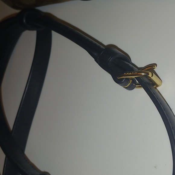 Coach Pepper - Picture 16 of 16